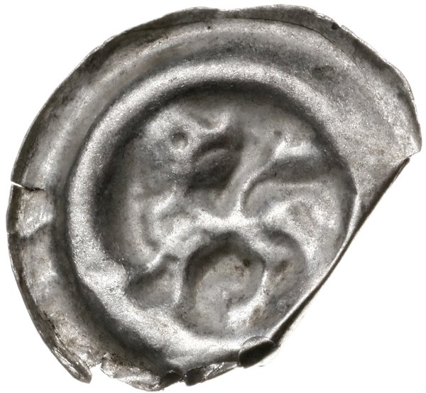 brakteat guziczkowy, koniec XIII w.; Lew krocząc