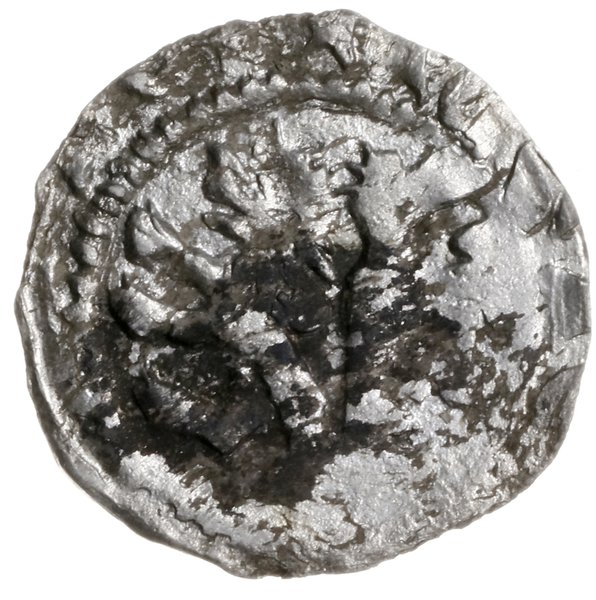denar, ok. 1320; Aw: Korona z lekko rozchylonymi