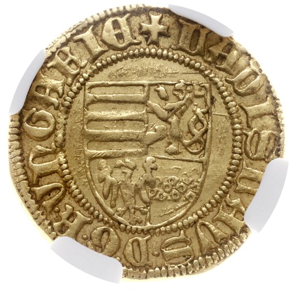 goldgulden, 1447-1457, mennica Krzemnica