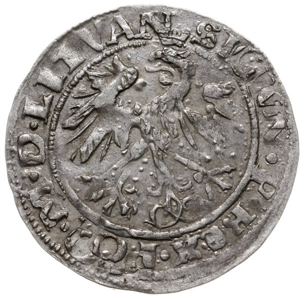 grosz 1536, Wilno; odmiana z literą I (Ianuar) p