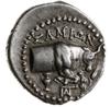 drachma, 205-129 pne; Aw: Głowa lwa na wprost w obwódce perełkowej; Rw: Półpostać byka w obwódce  ..