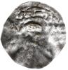 denar typu REX, ok. 1015-1025; Aw: Zaledwie wido