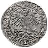 półgrosz 1563, Wilno; na awersie bardzo rzadka odmiana napisowa MAG D L (notowana w katalogu monet..