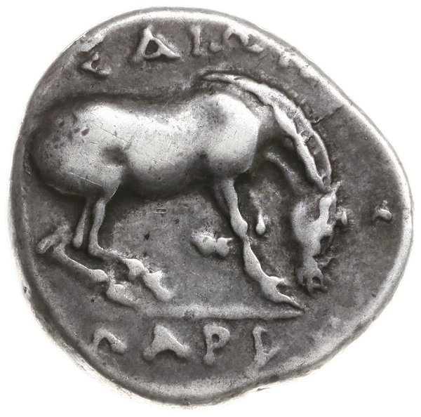 drachma, 365-356 pne; Aw: Głowa nimfy Larisy zwr