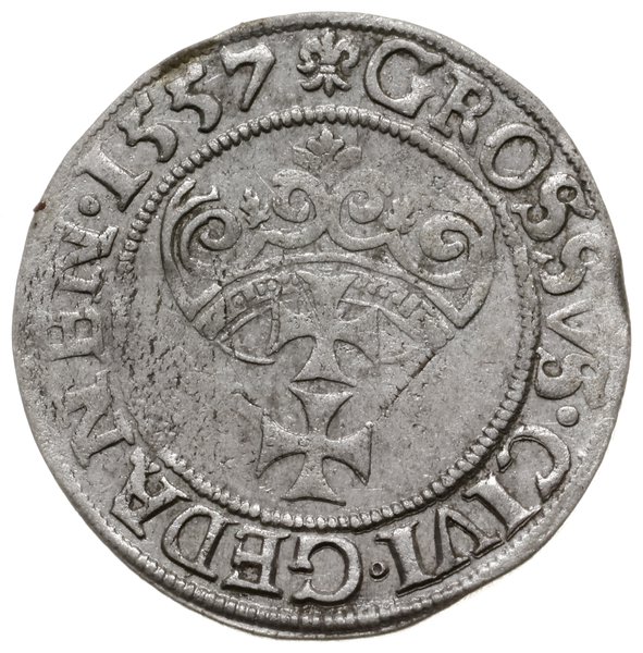 grosz 1557, Gdańsk