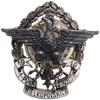 oficerska odznaka pamiątkowa 55. Pułku Piechoty, od 1931; Orzeł z rozpostartymi skrzydłami, ukoron..