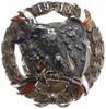 pamiątkowa odznaka oficerska 15. Pułku Ułanów Wi