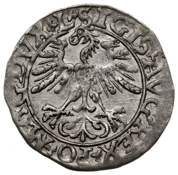 Półgrosz, 1561/1681, mennica Wilno; końcówki nap