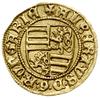 Goldgulden, 1438, mennica Kremnica, mincmistrz Konrad Rudel; Aw: Czteropolowa tarcza herbowa (skwa..