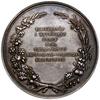 Medal pamiątkowy Towarzystwa Gospodarczo-Rolniczego w Krakowie, projektu Karla Radnitzky’ego, Wied..