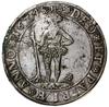 1/2 talara, 1624, mennica Zellerfeld; Aw: Jedenastopolowa tarcza herbowa, FRIDERIC VLRIC D G DVX B..