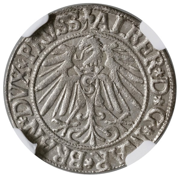 Grosz, 1543, Królewiec; końcówka legendy PRVSS n