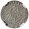 Grosz, 1543, Królewiec; końcówka legendy PRVSS na rewersie; Henckel 3147, Kop. 3785,  Slg. Marienb..
