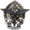 Oficerska odznaka pamiątkowa 55. Pułku Piechoty, od 1931; Orzeł z rozpostartymi skrzydłami z ukoro..