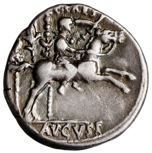 Denar, 8 pne, Lugdunum (Lyon); Aw: Głowa cesarza