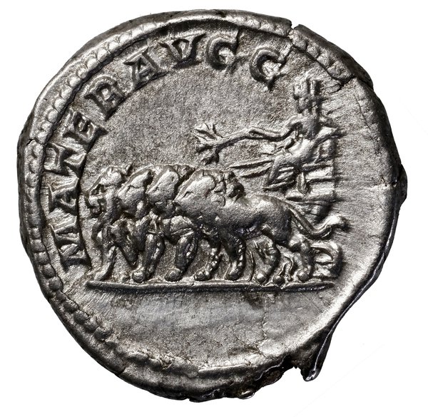 Denar, 193–196, Rzym; Aw: Popiersie cesarzowej w