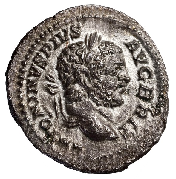 Denar, 212, Rzym; Aw: Głowa cesarza w wieńcu lau