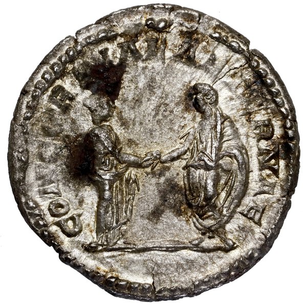 Denar, 202, Rzym; Aw: Popiersie cesarzowej w pra