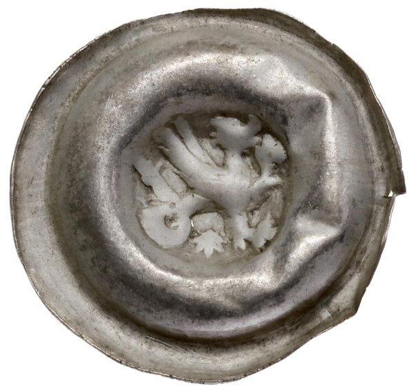 Brakteat, 1260–1271, Gryf kroczący w prawo, z wywiniętym ogonem, pod nim gwiazda