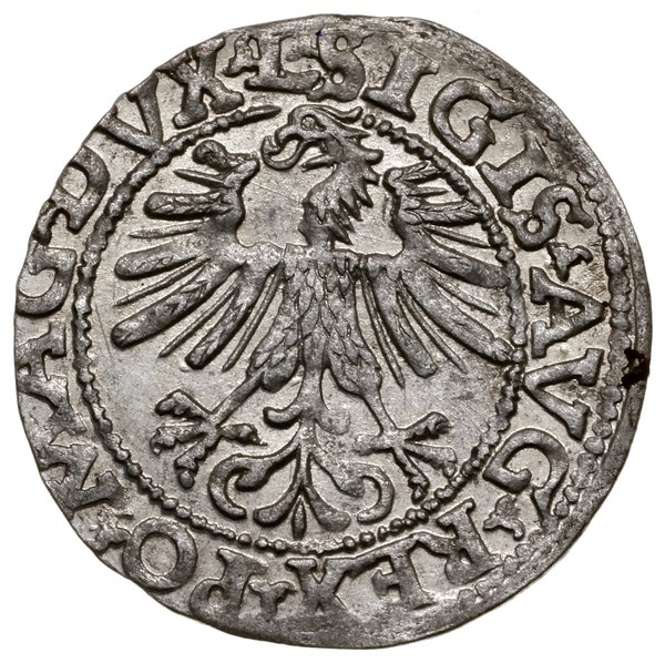 Półgrosz litewski, 1562, Wilno; rzadka odmiana z