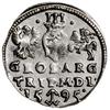 Trojak, 1595, Wilno; u dołu herb Chalecki, kropki po bokach nominału; Iger V.95.1.a, Ivanauskas 5S..