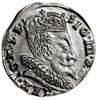 Trojak, 1596, Wilno; typ monety z herbem Chalecki u dołu, pod nim herb Prus z kropkami po bokach; ..