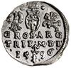 Trojak, 1596, Wilno; typ monety z herbem Chalecki u dołu, pod nim herb Prus z kropkami po bokach; ..