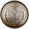 1 dolar, 1899, Filadelfia; typ Morgan; KM 110; srebro próby 900, 26.74 g; nakład: 330.000 sztuk;  ..