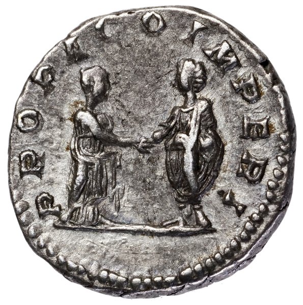 Denar, 202–205, Rzym; Aw: Głowa cesarzowej w pra
