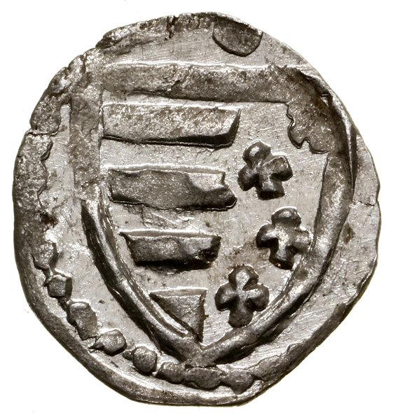 Denar, bez daty (1370–1382), Kraków; Aw: Tarcza 