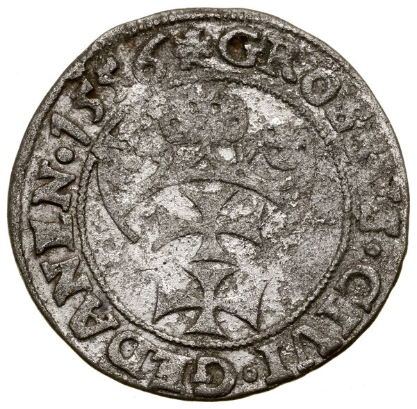 Grosz, 1556, Gdańsk; odmiana z małą głową króla,