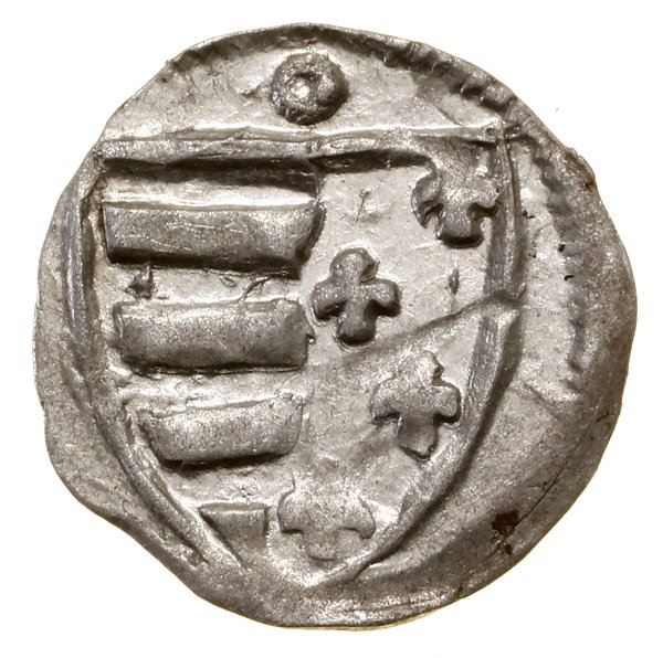 Denar, bez daty (1370–1382), Kraków