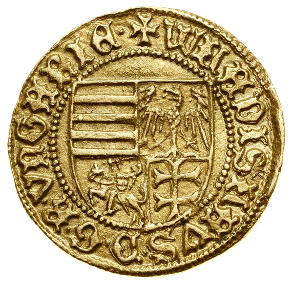 Goldgulden, bez daty (1443–1444), Baia Mare (Nagybánya)