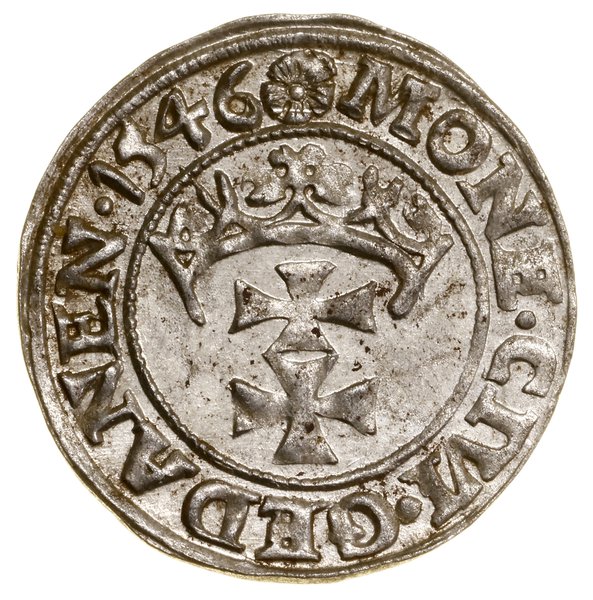 Szeląg, 1546, Gdańsk; w legendzie awersu POLO; B