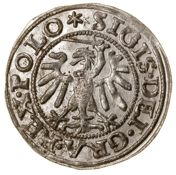 Szeląg, 1547, Gdańsk; w legendzie awersu POLO; B