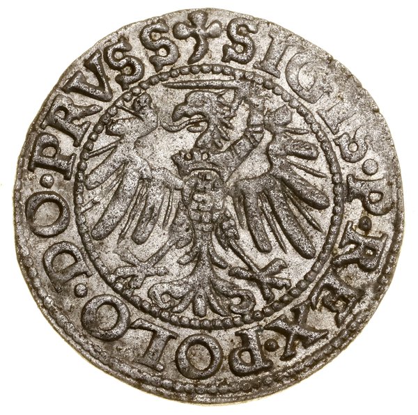 Szeląg, 1539, Elbląg; końcówki legend PRVSS / EL