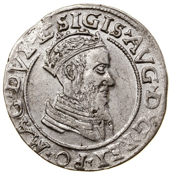Czworak, 1569, Wilno
