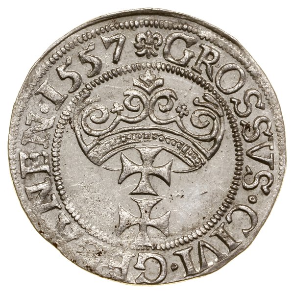 Grosz, 1557, Gdańsk; duża głowa króla z pojedync