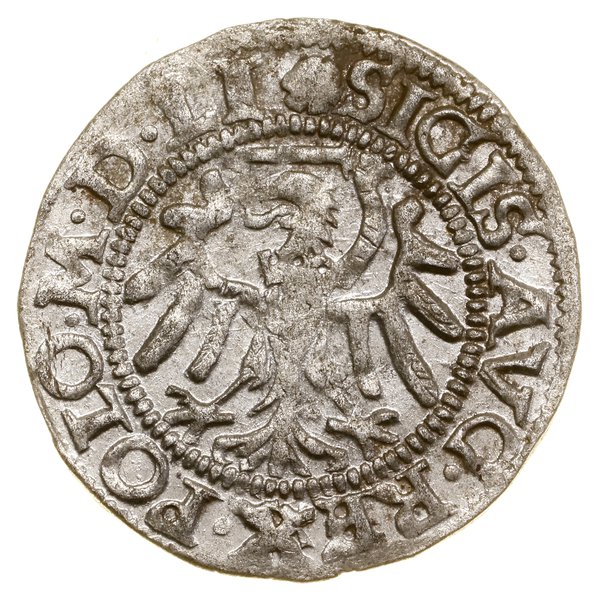 Szeląg, 1550, Gdańsk; w legendzie awersu M D LI;