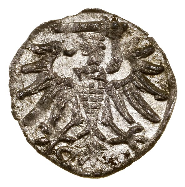 Denar, 1551, Gdańsk