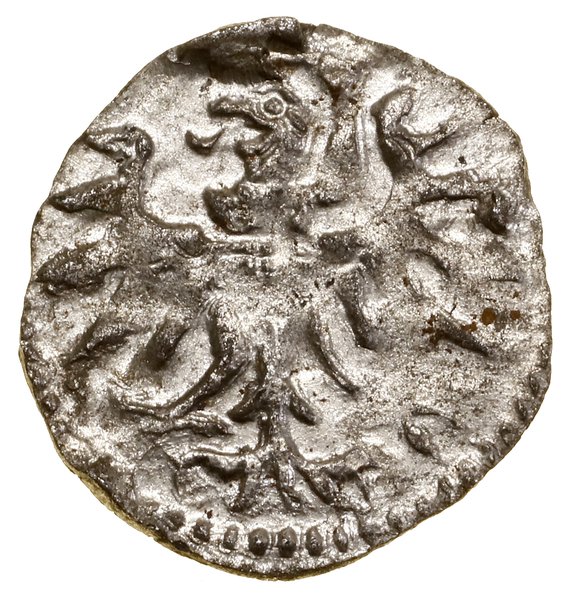 Denar, 1555, Gdańsk; Białk.-Szw. 409, CNG 81.VII