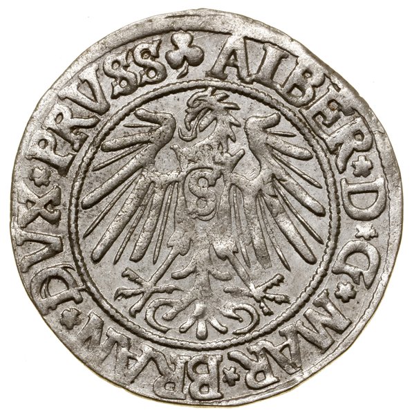 Grosz, 1541, Królewiec; odmiana z długą brodą ks