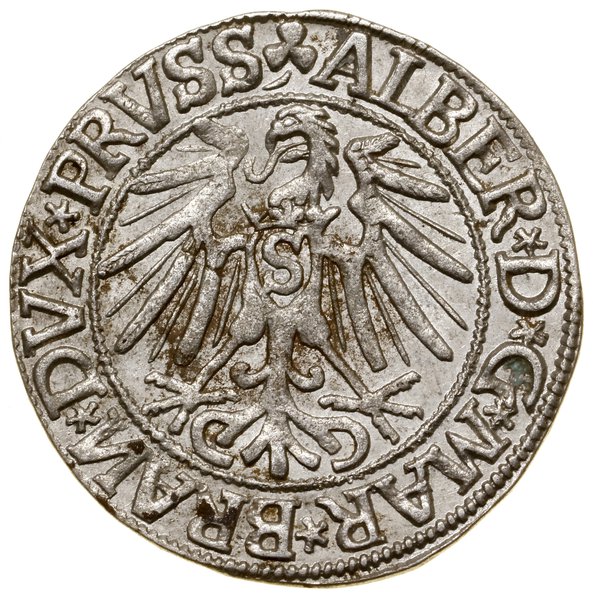 Grosz, 1544, Królewiec; szeroka broda władcy, ko