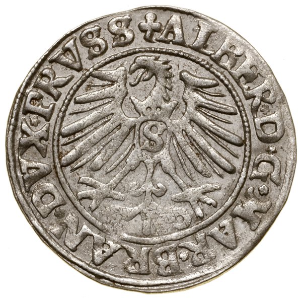 Grosz, 1550, Królewiec; końcówka napisu PRVSS; K