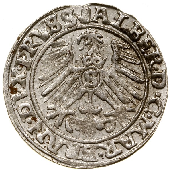 Grosz, 1558, Królewiec