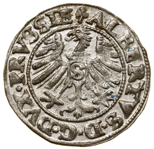 Szeląg, 1550, Królewiec; Kop. 3761 (R), Neumann 