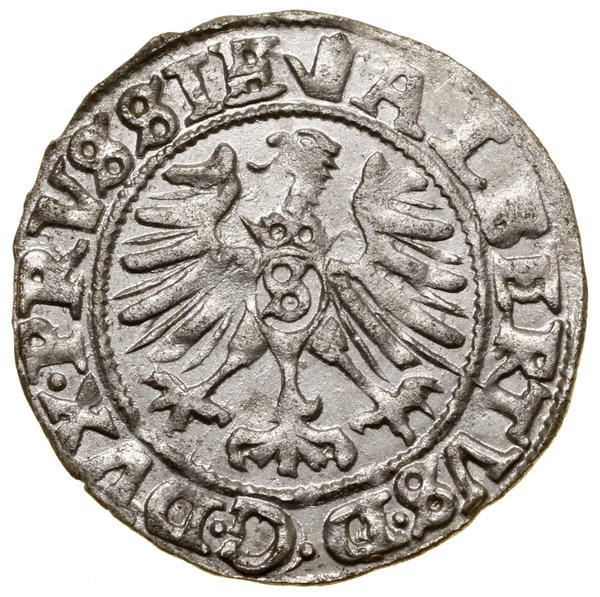 Szeląg, 1558, Królewiec; Kop. 3768 (R), Neumann 