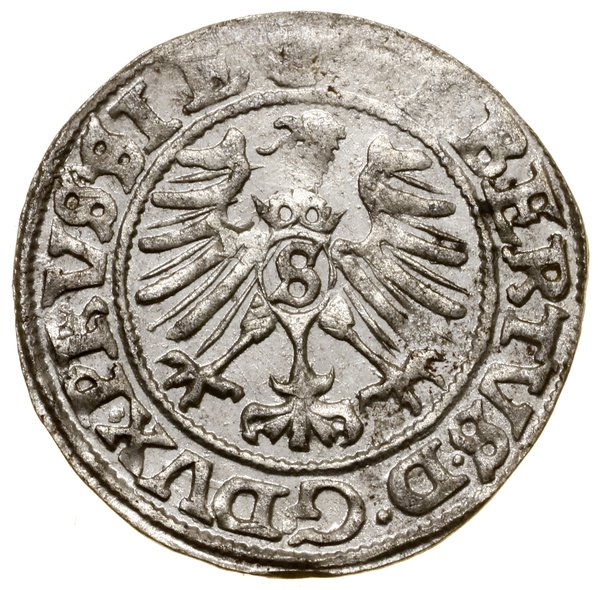 Szeląg, 1559, Królewiec