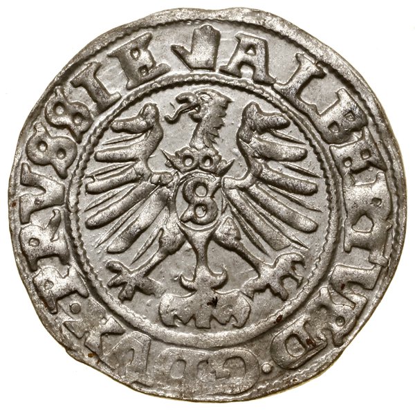 Szeląg, 1559, Królewiec