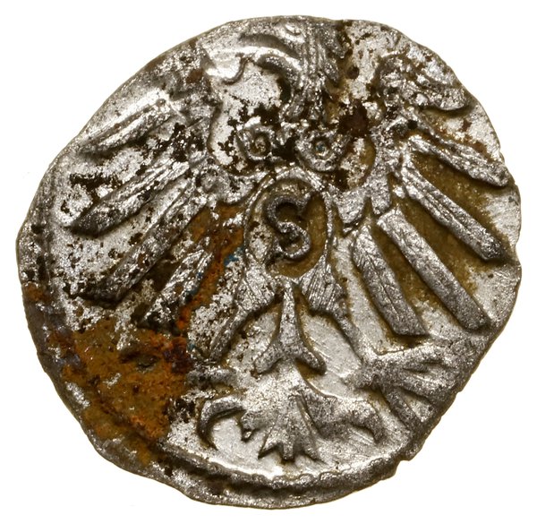 Denar, 1558, Królewiec